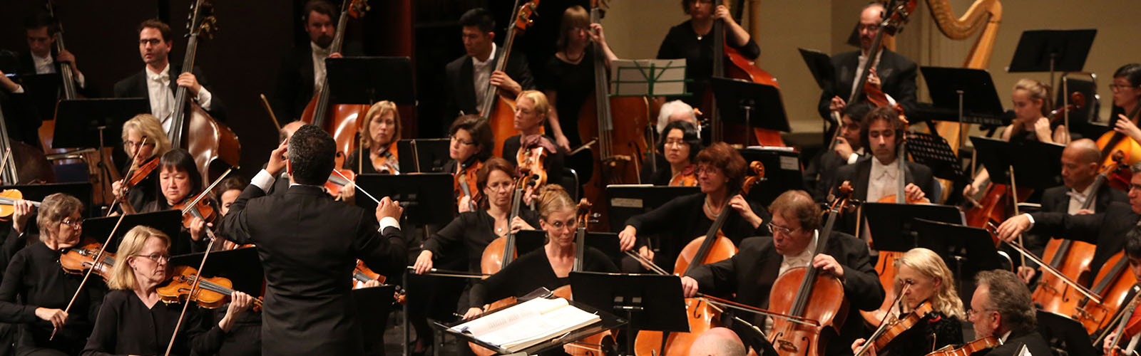 Sacramento Philharmonic & opera in concert