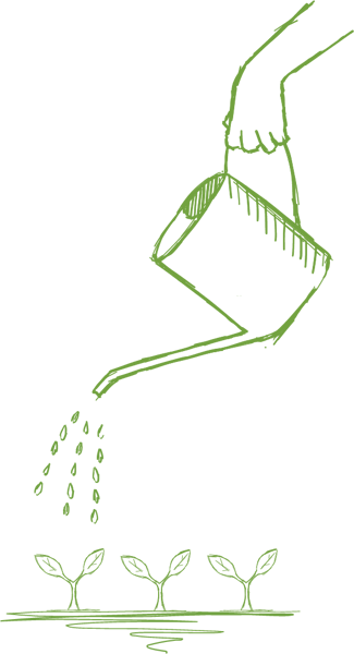 an illustration of a hand watering seedlings