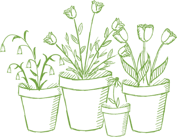 an illustration of potted plants, whose roots are limited by the boundaries of the pots