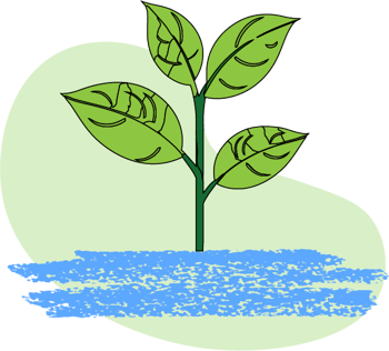 illustration of a plant growing