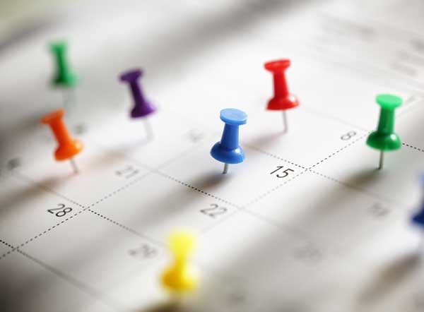 colorful pins stuck into a calendar