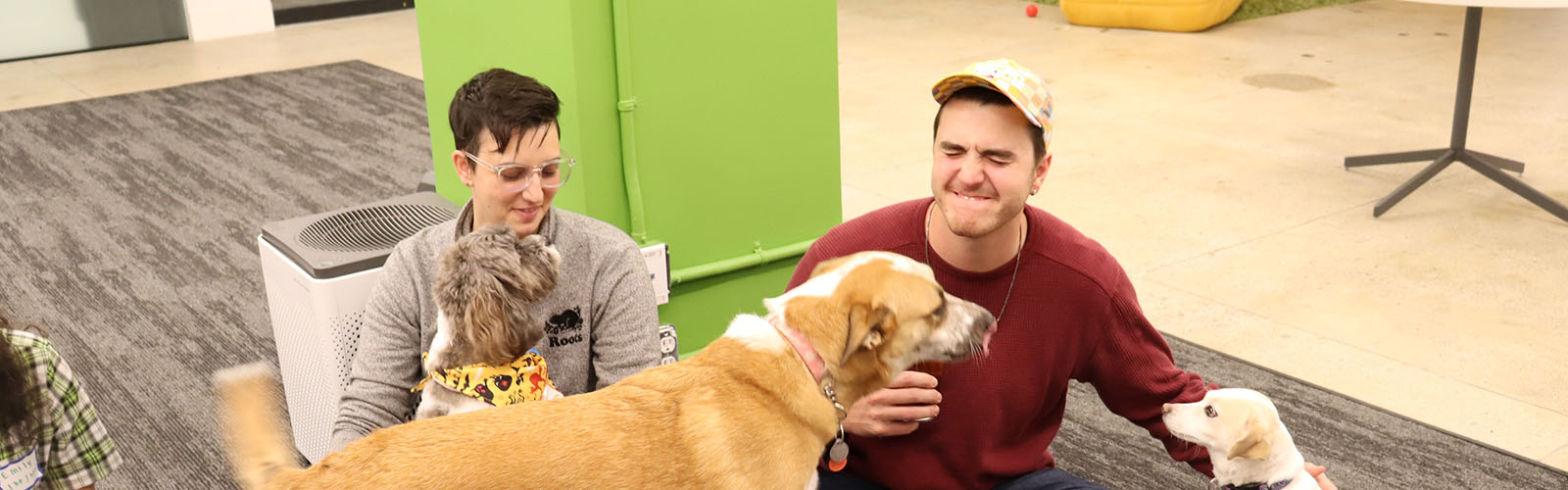 Spektrix team members play with dogs in the new york city office