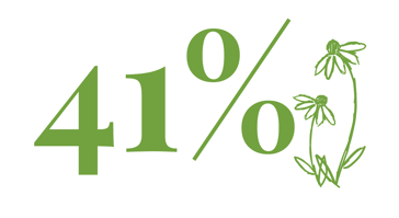 41%