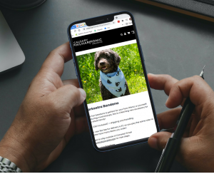 Someone admiring a dog picture on a mobile phone