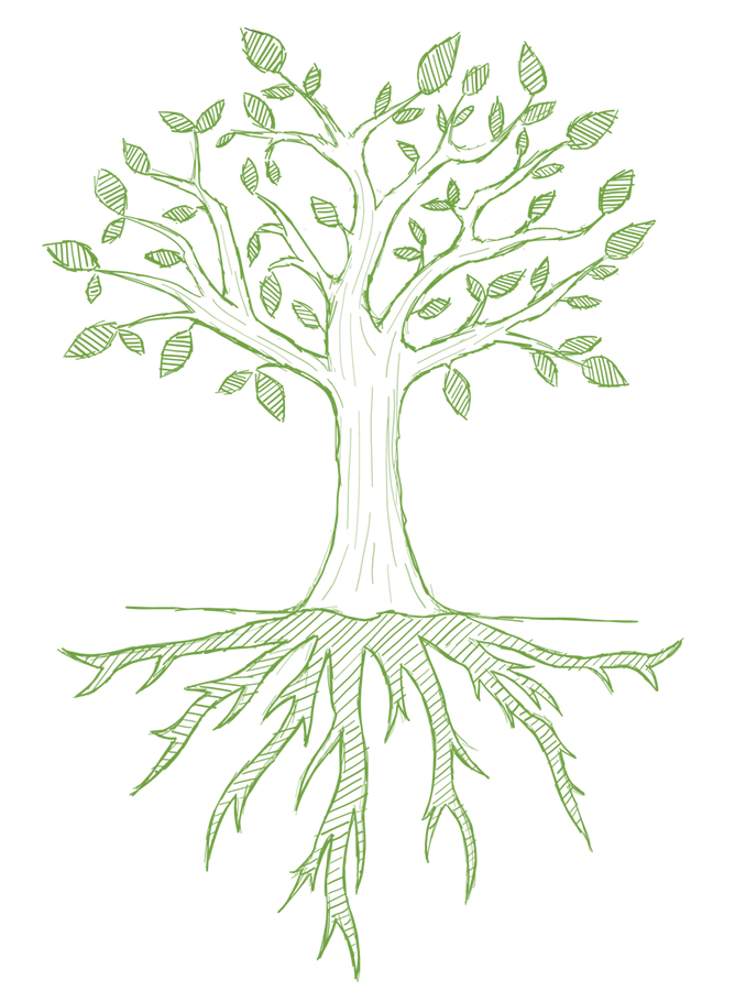 An illustration of a large tree with deep roots
