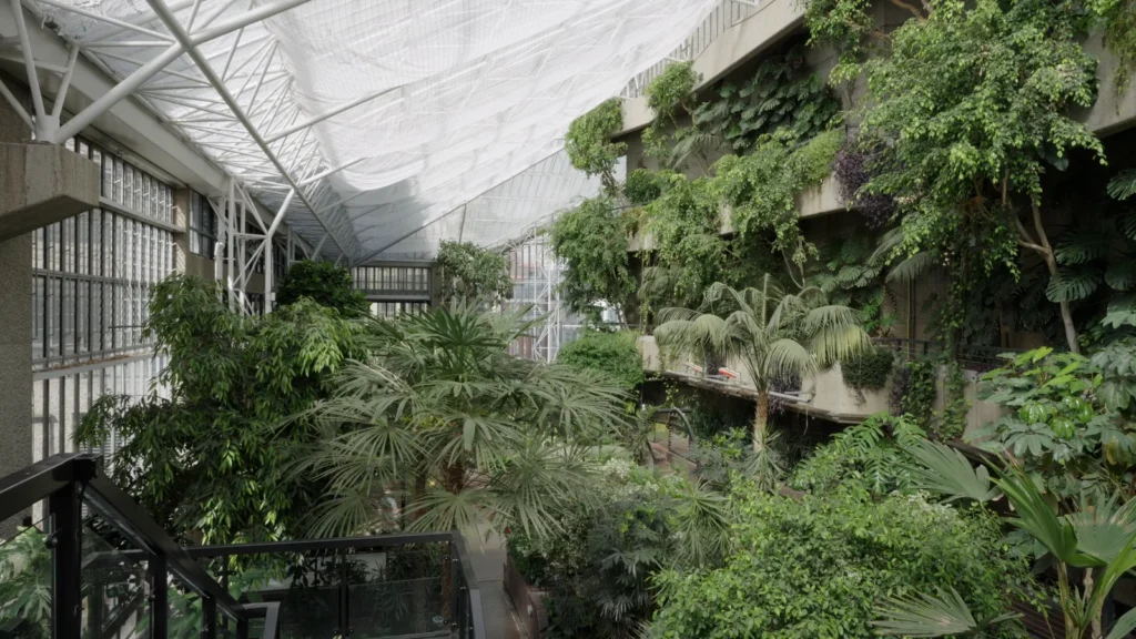 Barbican Conservatory Tropical Garden Walkway