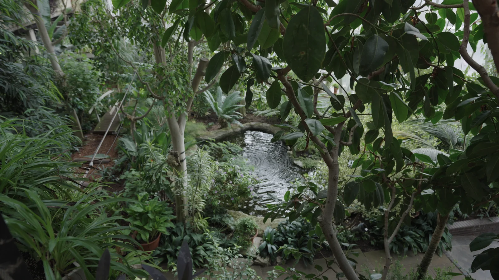 Barbican Conservatory Waterfall And Plants