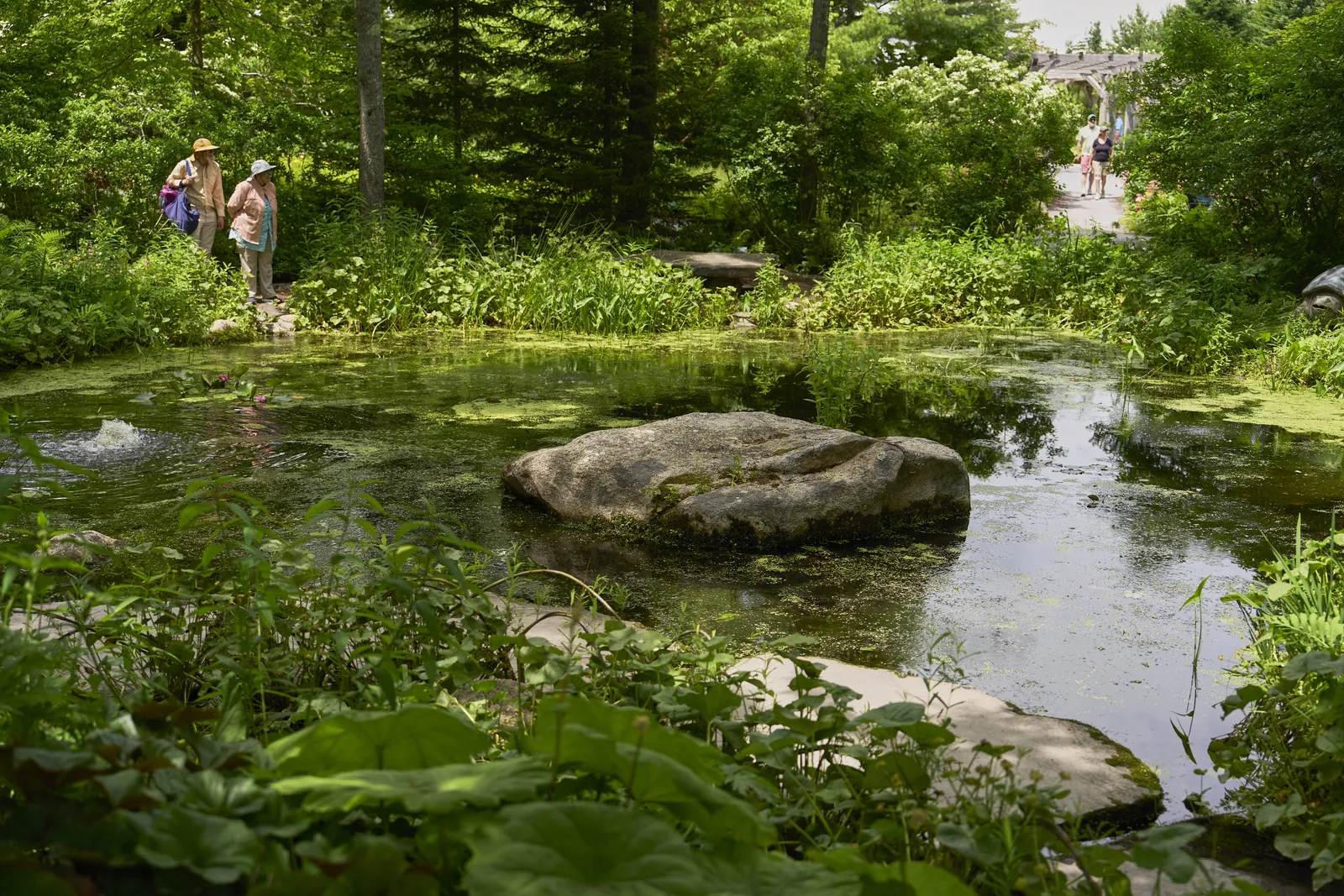 Coastal Maine Botanical Garden Exterior River Nature View