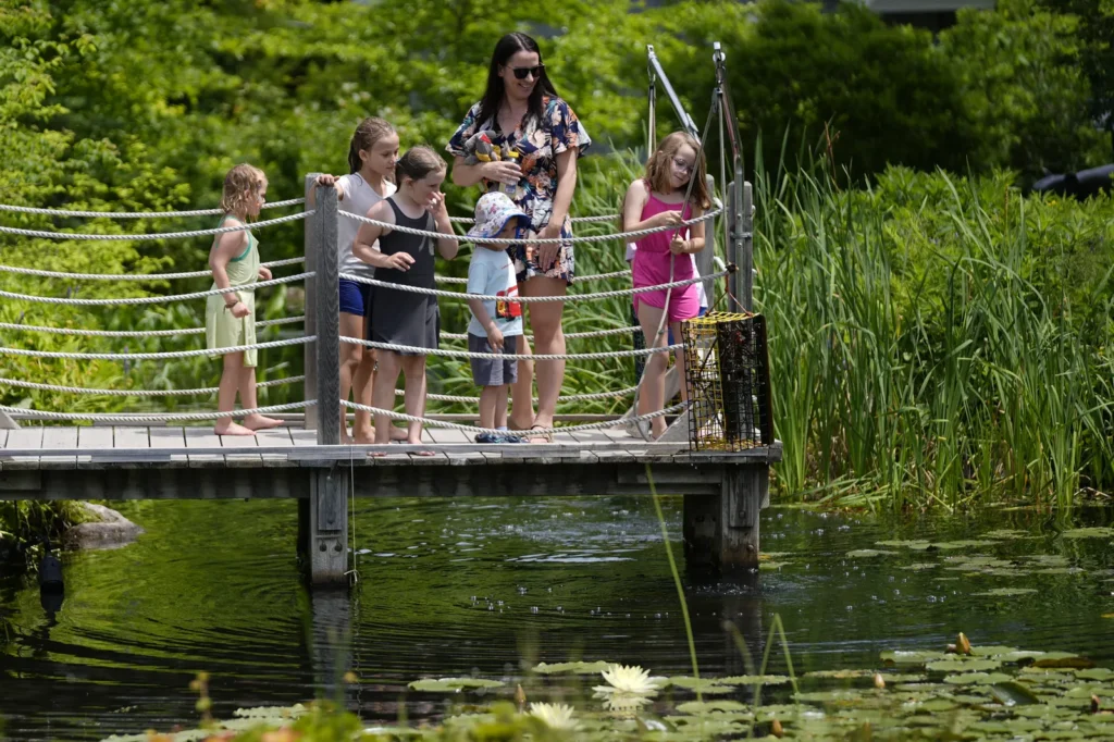 Coastal Maine Botanical Garden Exterior Visitors Customers On Dock 2