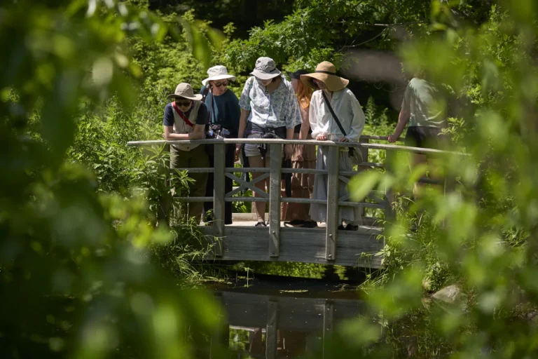 Coastal Maine Botanical Garden Exterior Visitors Customers On Dock