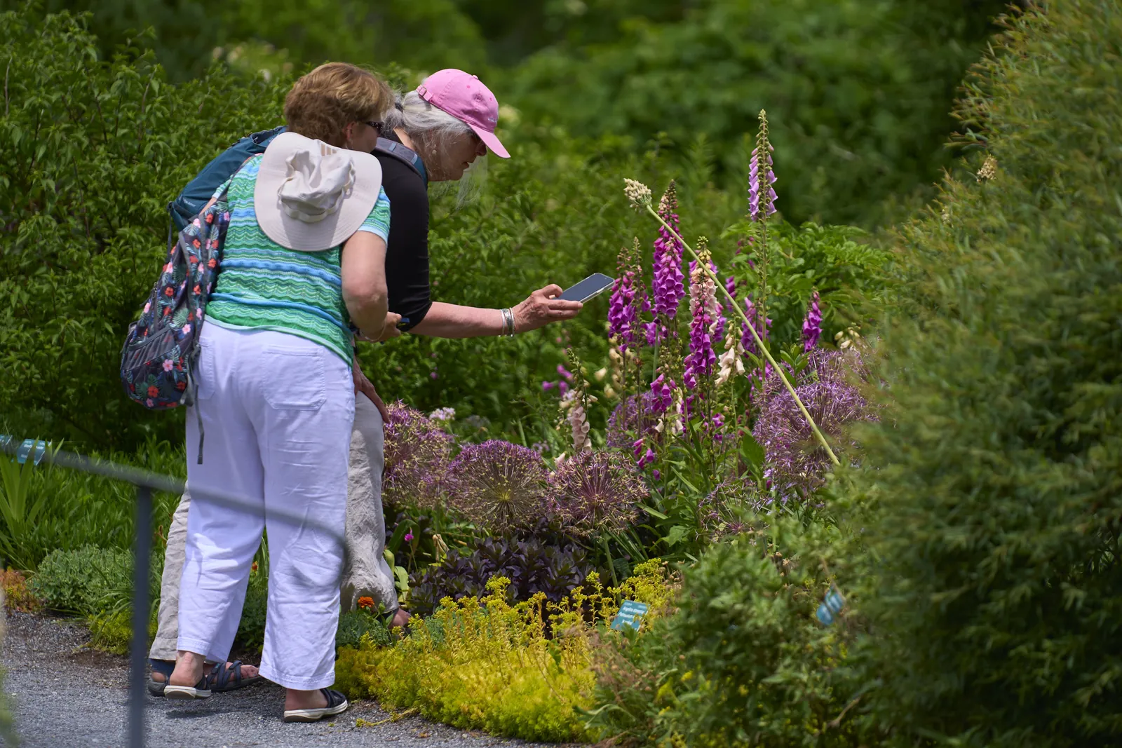 Coastal Maine Botanical Garden Exterior Visitors Customers With Flowers