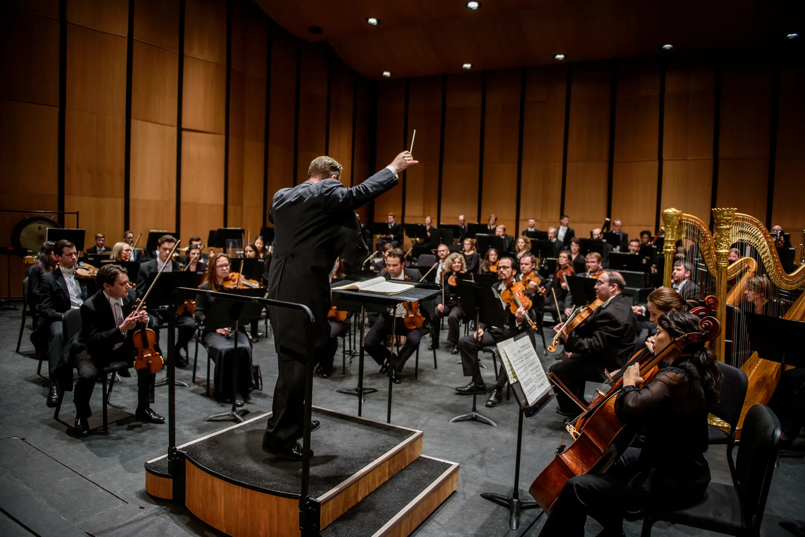 Hunstville Symphony Orchestra Interior Stage Musicians Players