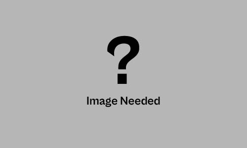 Image Needed Placeholder