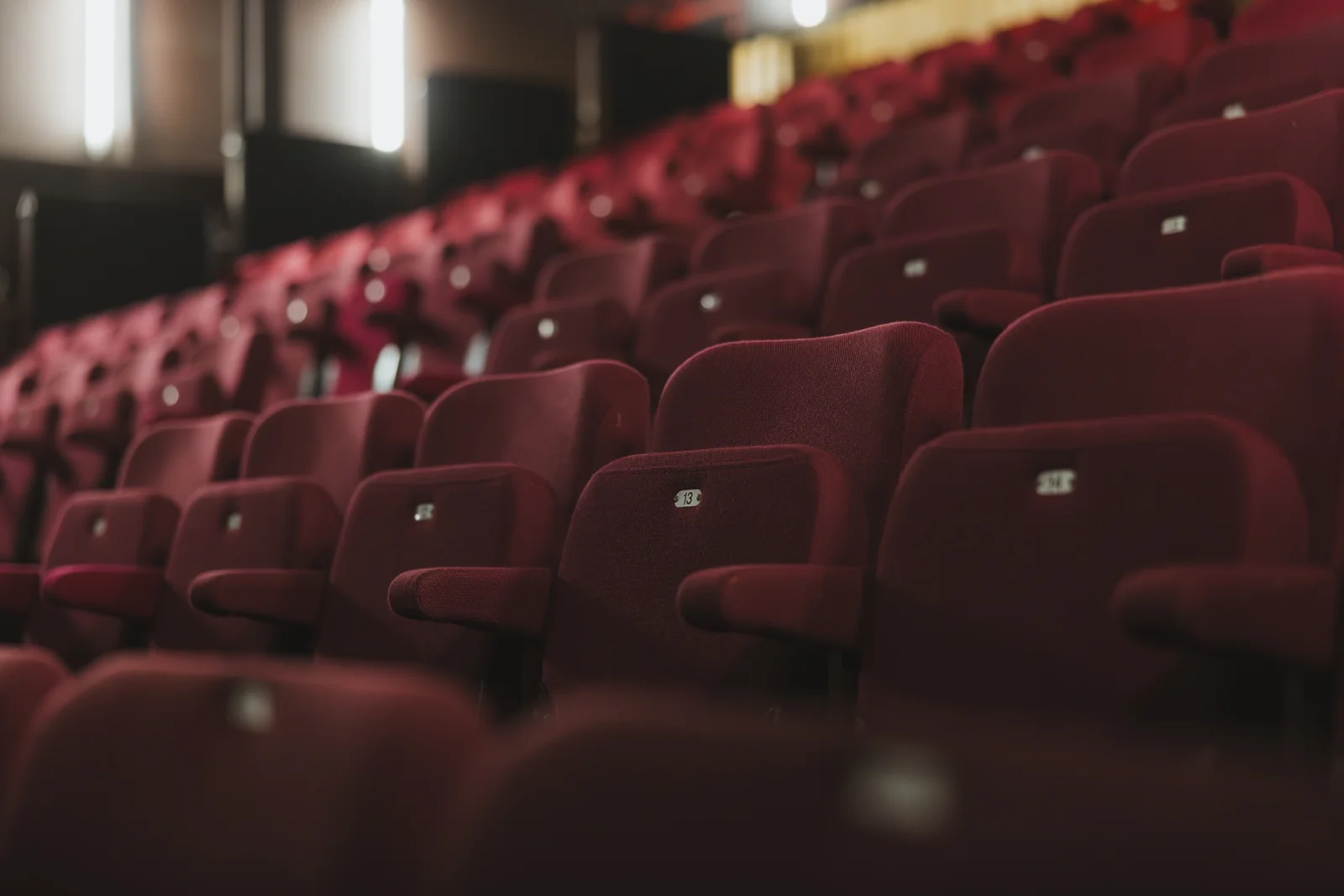 Junction Goole Auditorium Seats Detail