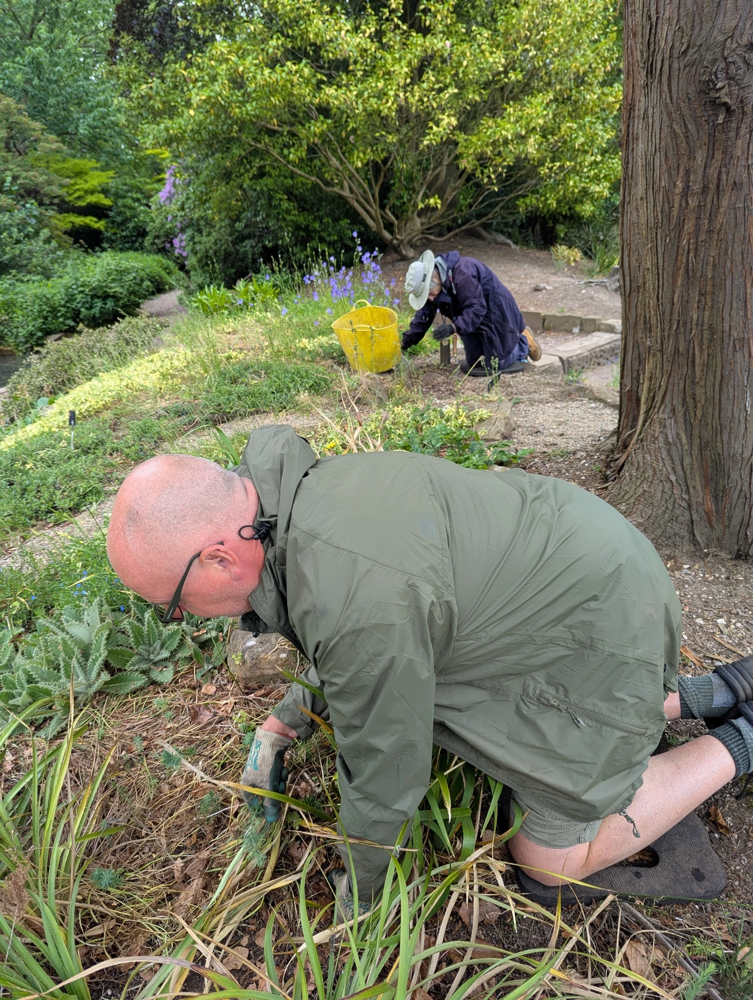 Birmingham Botanical Gardens Volunteers Weeding Garden 1